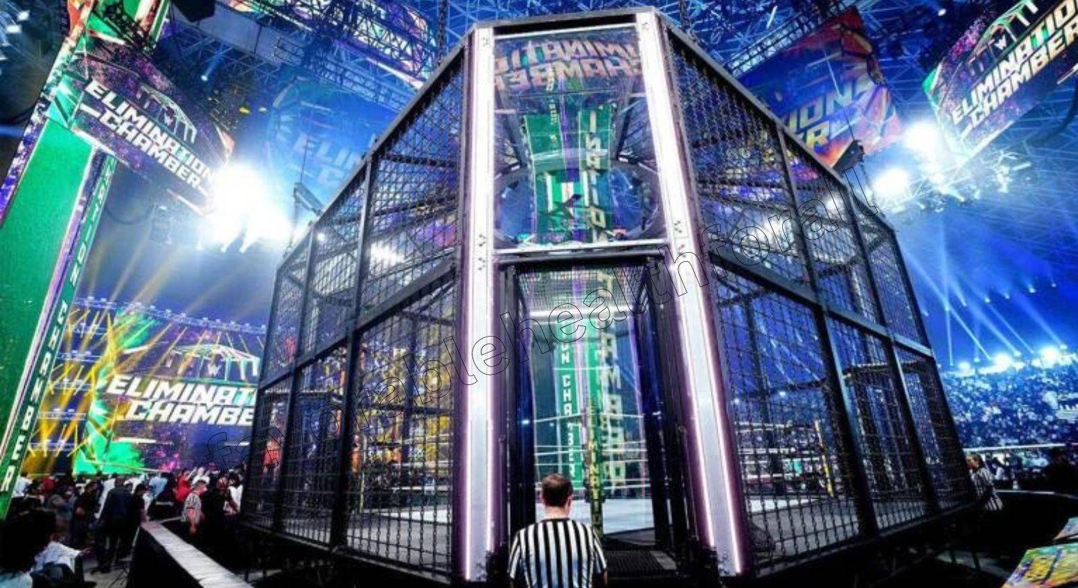 2024 WWE Elimination Chamber Predictions and Preview