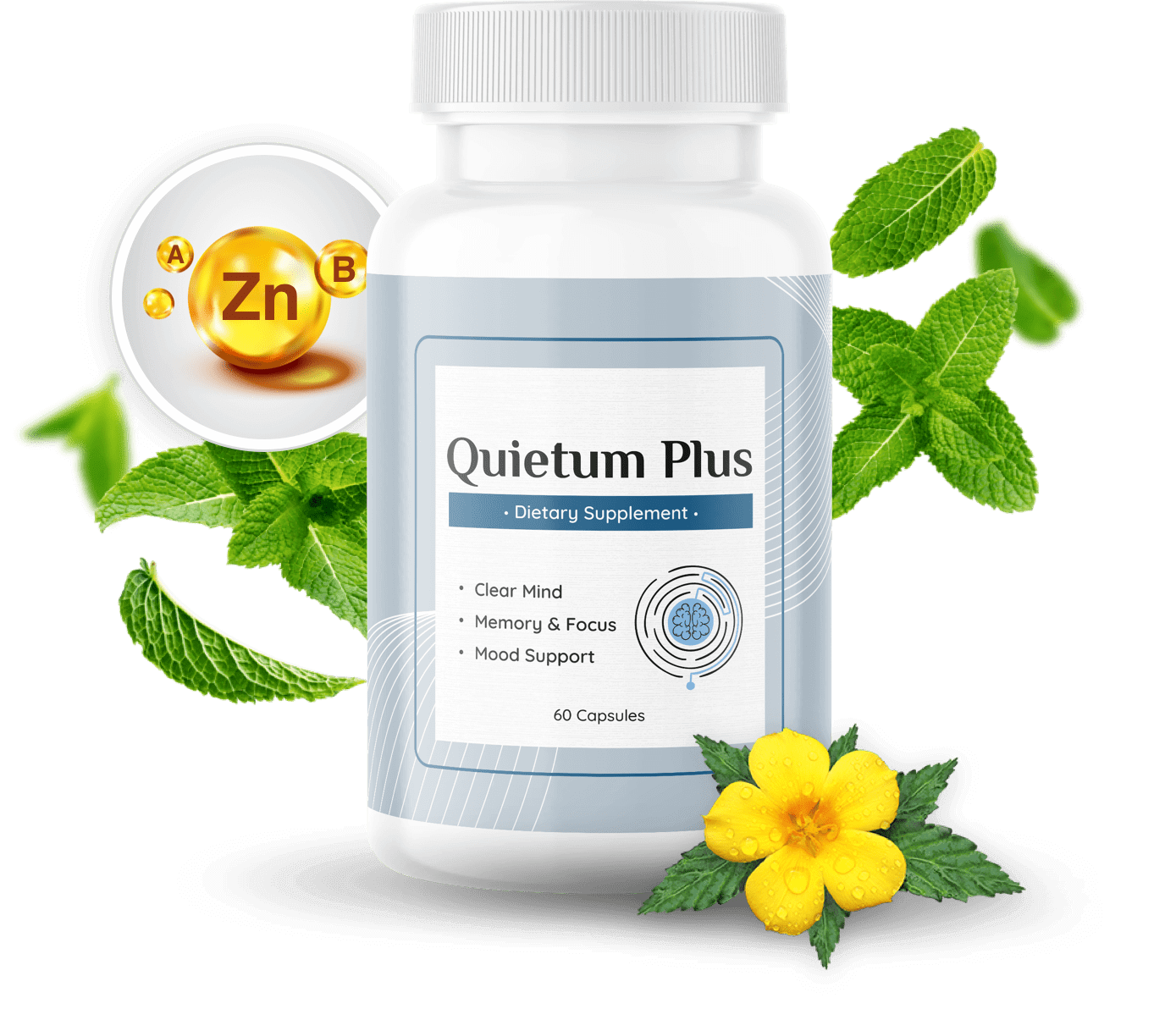 Quietum Plus: A Comprehensive Review of the Natural Supplement for Tinnitus Relief